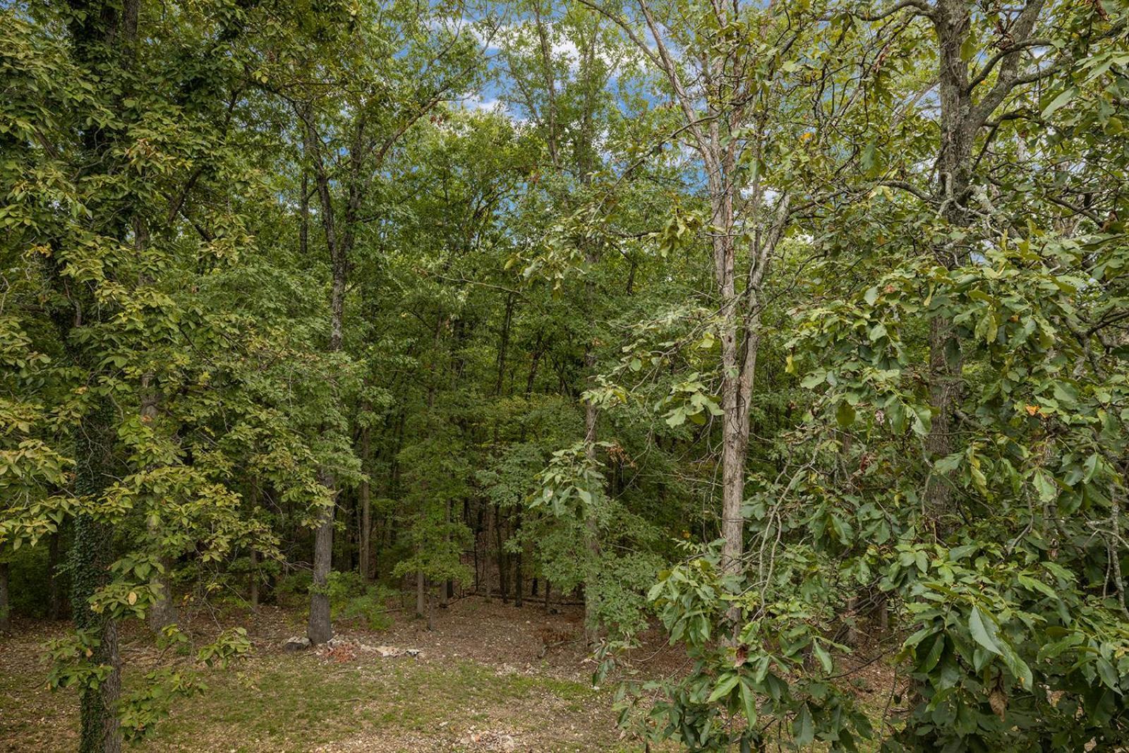 The Lofts On Indian Point - Near Silver Dollar City Branson Buitenkant foto